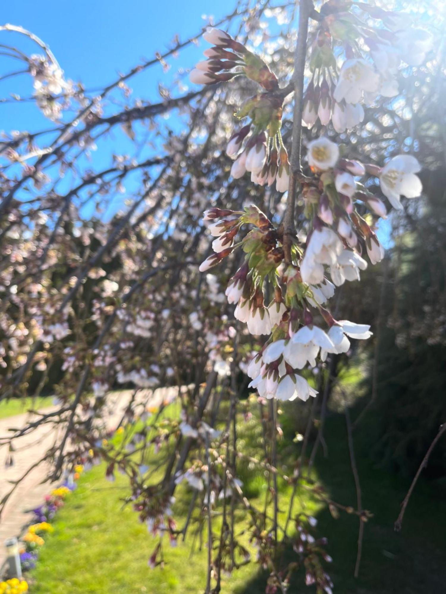 Gartenhof Bressanone Zewnętrze zdjęcie